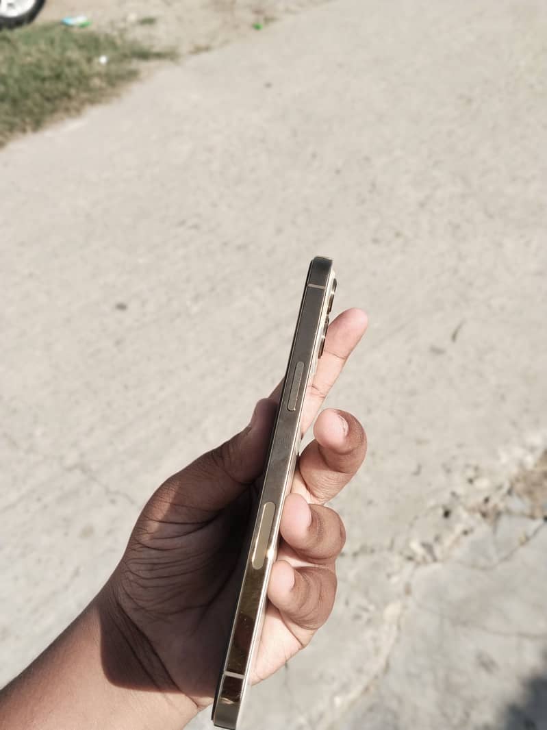 Apple iPhone 12 Pro Max 3