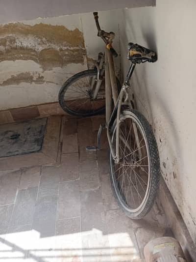 mountain cycle