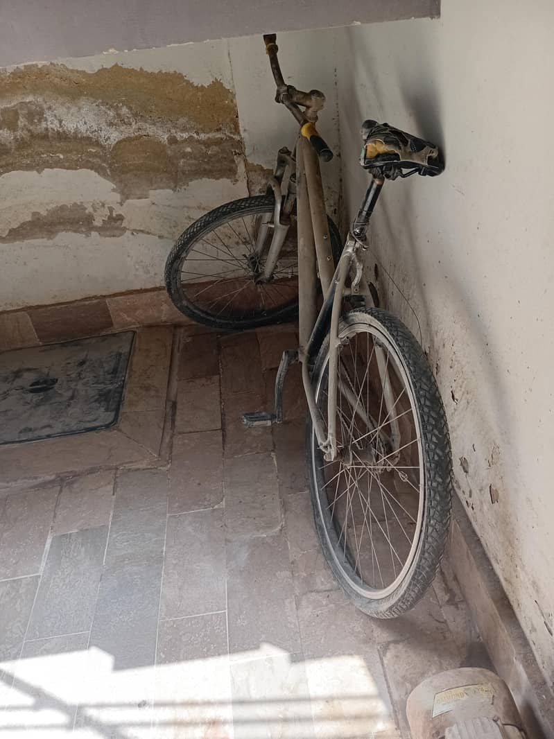 mountain cycle 0
