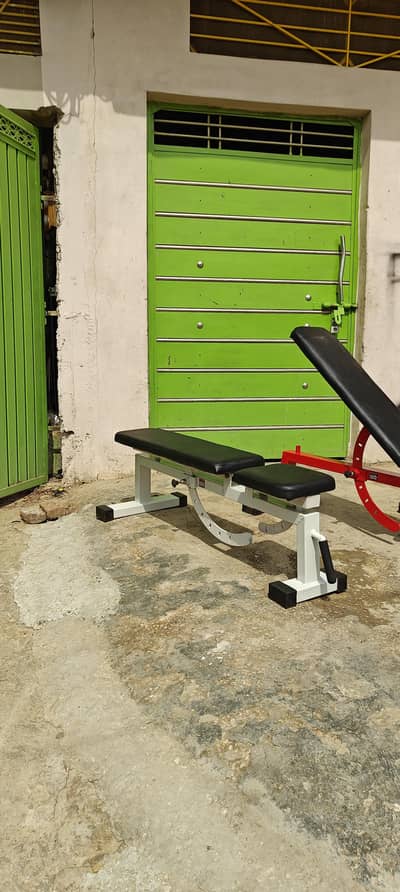 multiple adjustable banch