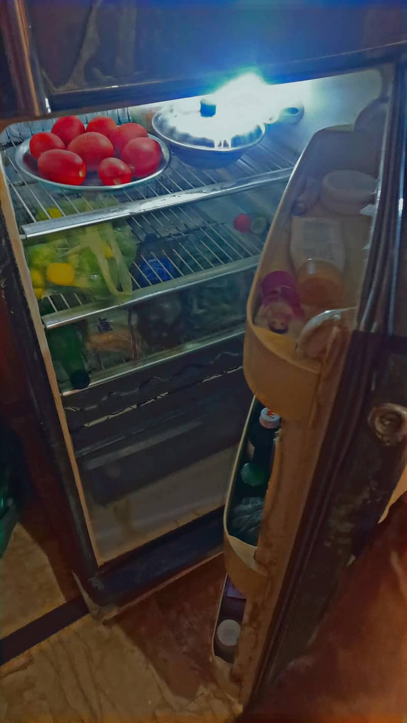 Orient Fridge 4