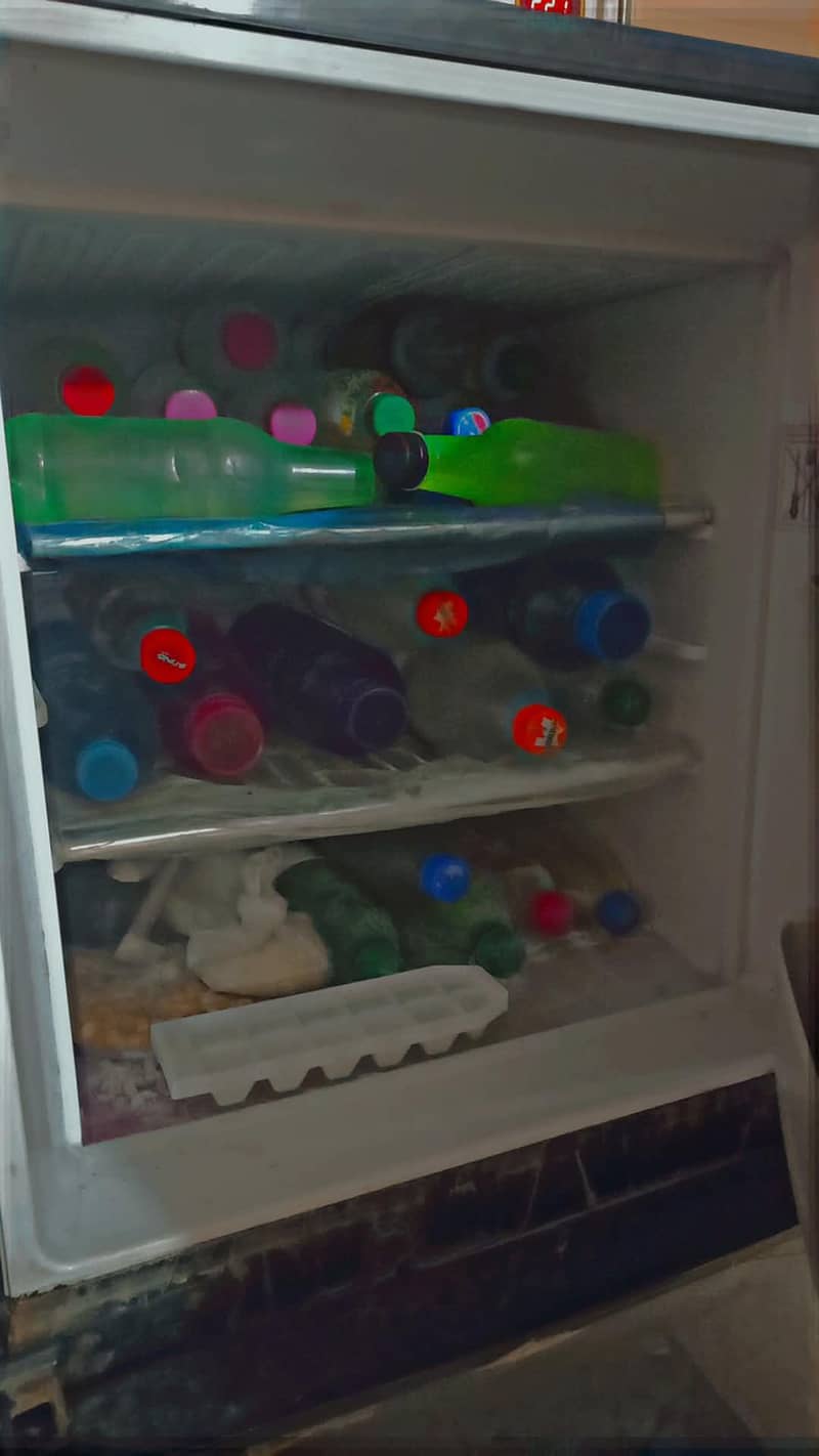 Orient Fridge 5