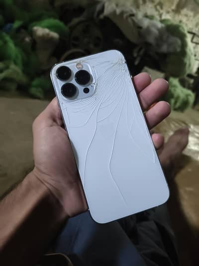 Apple iPhone 13 Pro Max
