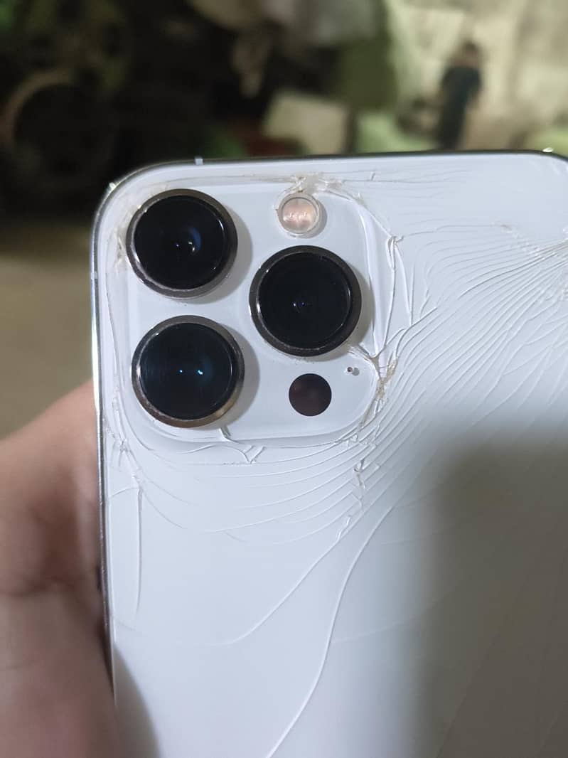 Apple iPhone 13 Pro Max 1