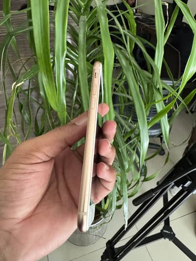 I phone 8 64GB Battery 74% 10/10 Condition