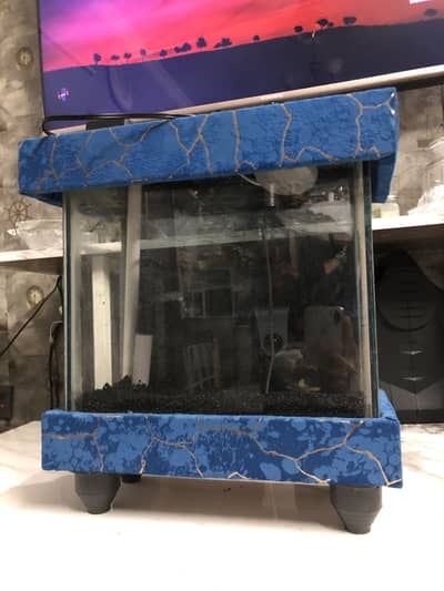 Fish aquarium
