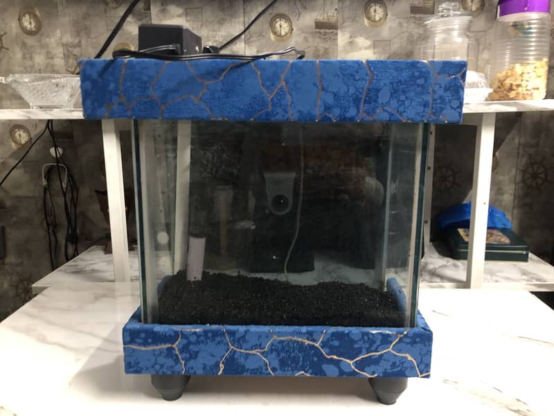 Fish aquarium 2