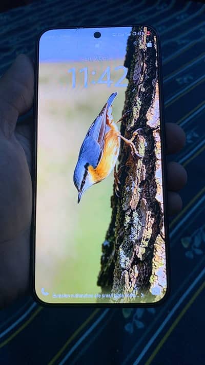 Vivo V70 FE 5G