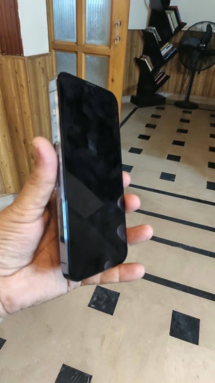 Apple iPhone 13 Pro Max 3