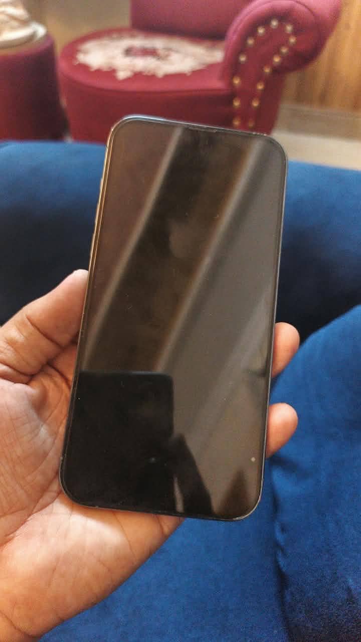 Apple iPhone 13 Pro Max 6