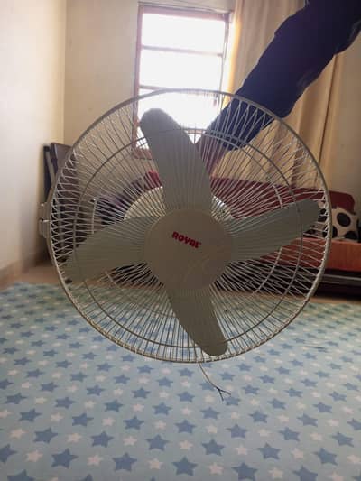 Royal Circomatic Fan