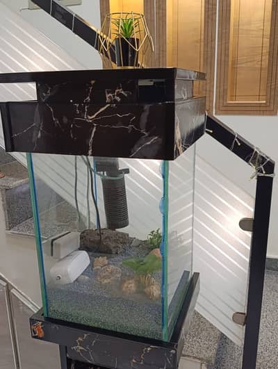 Beautiful Aquarium | Fish Tank for Home & Office | Glass Aquarium