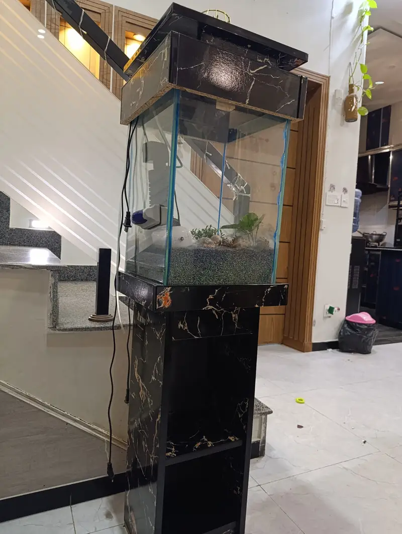Beautiful Aquarium | Fish Tank for Home & Office | Glass Aquarium — photo 2