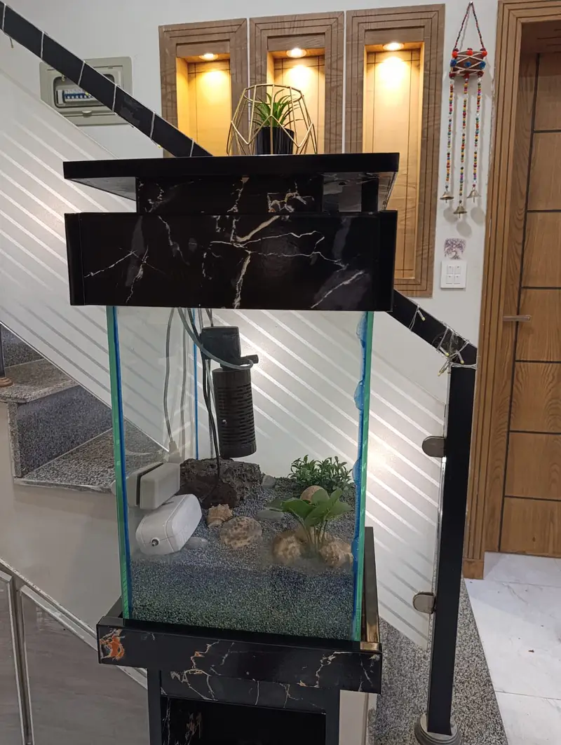 Beautiful Aquarium | Fish Tank for Home & Office | Glass Aquarium — photo 3