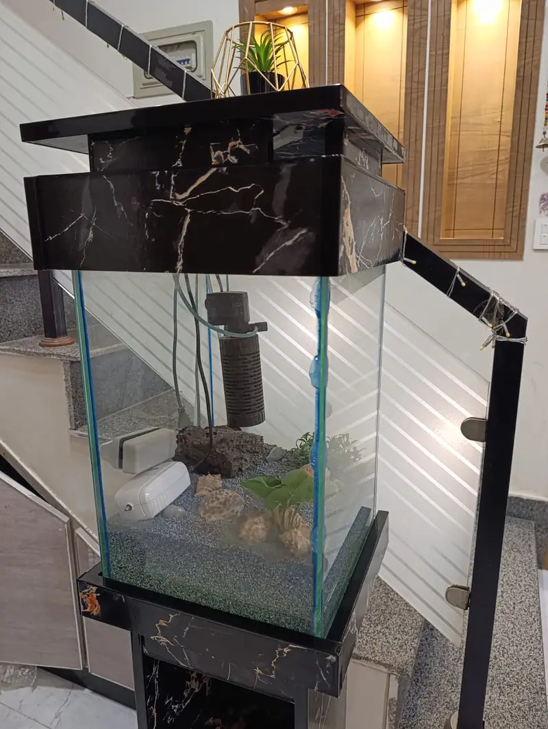 Beautiful Aquarium | Fish Tank for Home & Office | Glass Aquarium — photo 4