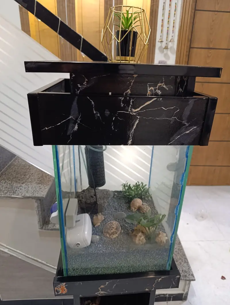 Beautiful Aquarium | Fish Tank for Home & Office | Glass Aquarium — photo 5
