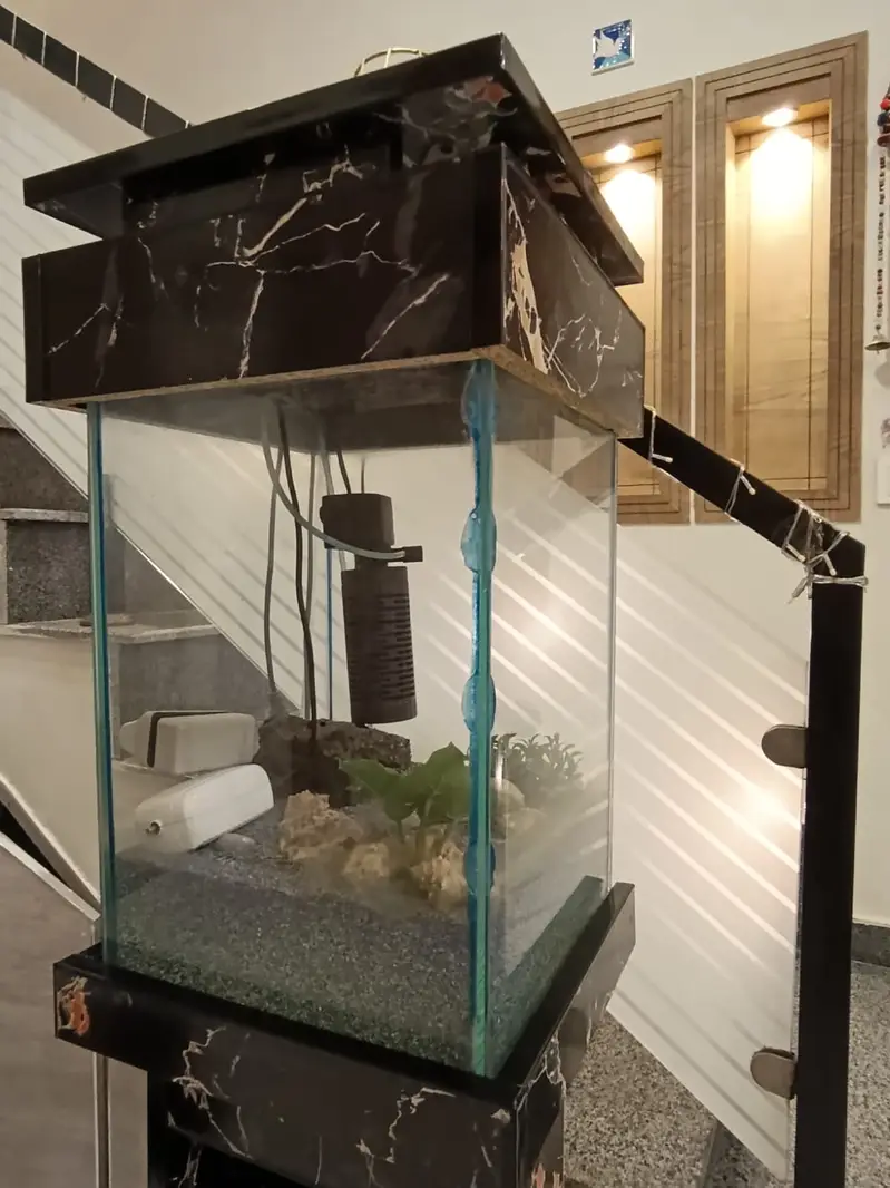 Beautiful Aquarium | Fish Tank for Home & Office | Glass Aquarium — photo 7