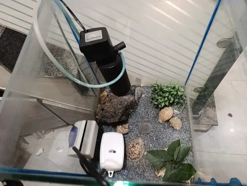 Beautiful Aquarium | Fish Tank for Home & Office | Glass Aquarium — photo 9