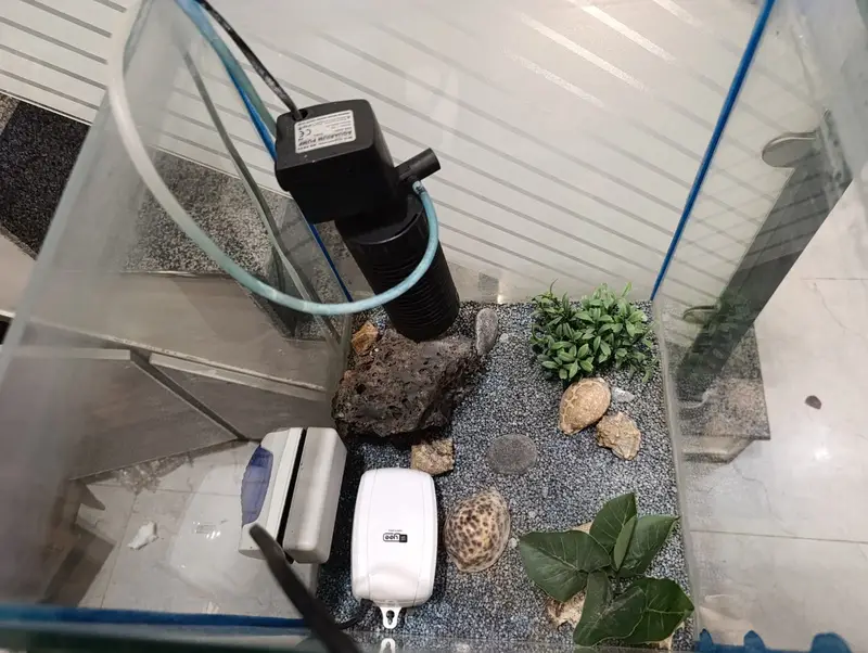 Beautiful Aquarium | Fish Tank for Home & Office | Glass Aquarium — photo 10