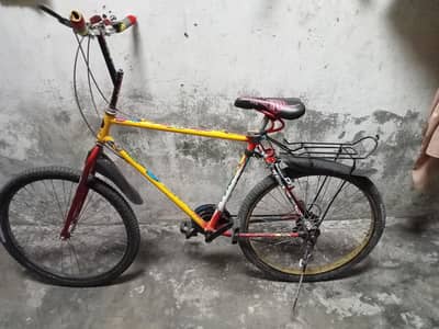 brand new scycle