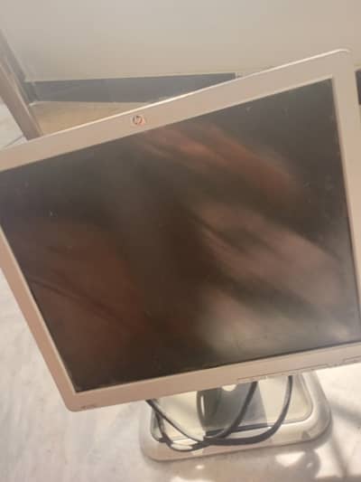 monitor for slaw