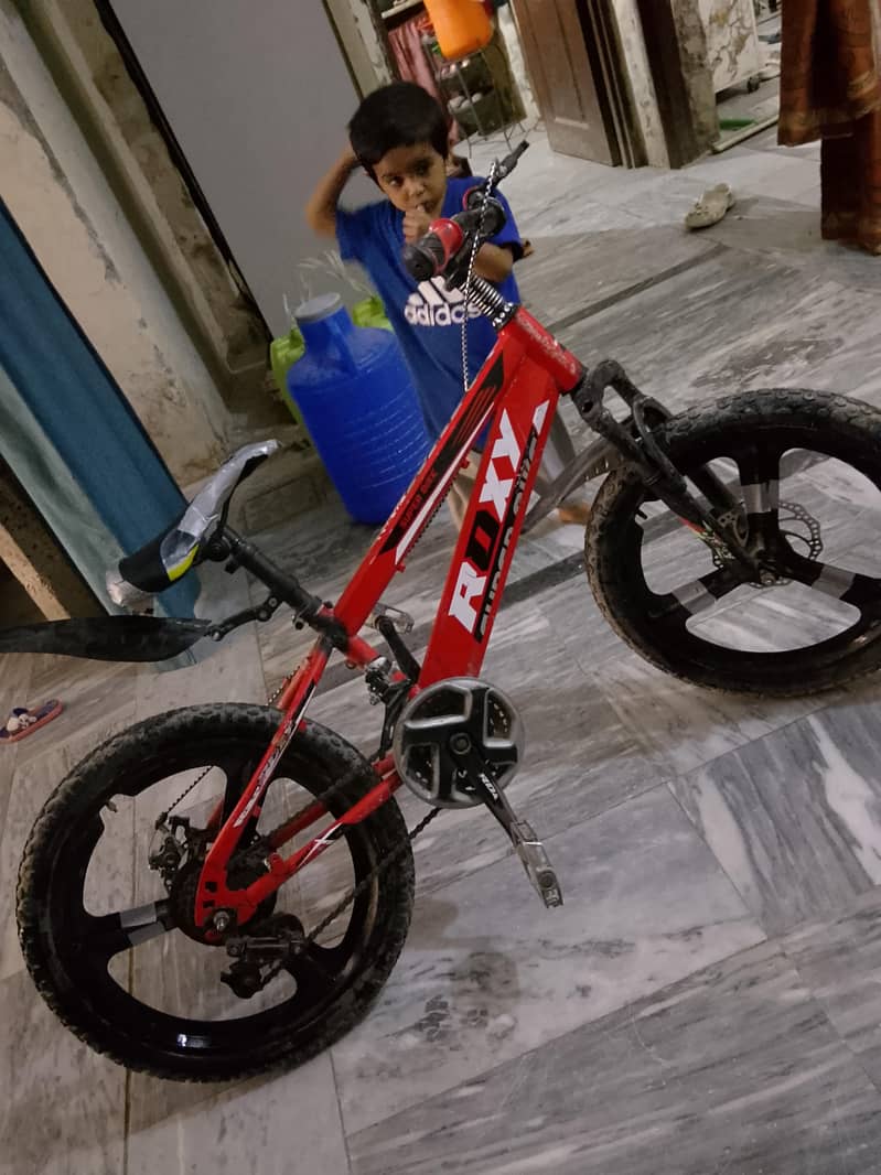 Roxy Cycle 0
