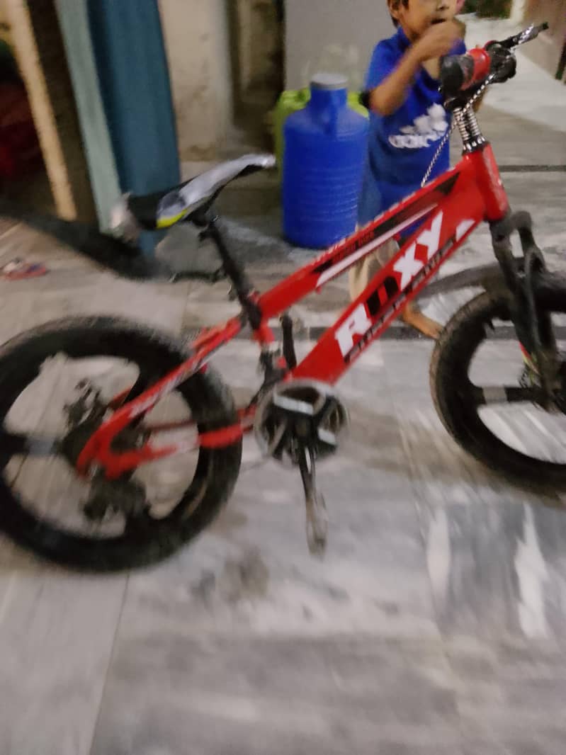 Roxy Cycle 2