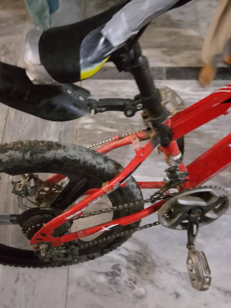 Roxy Cycle 3