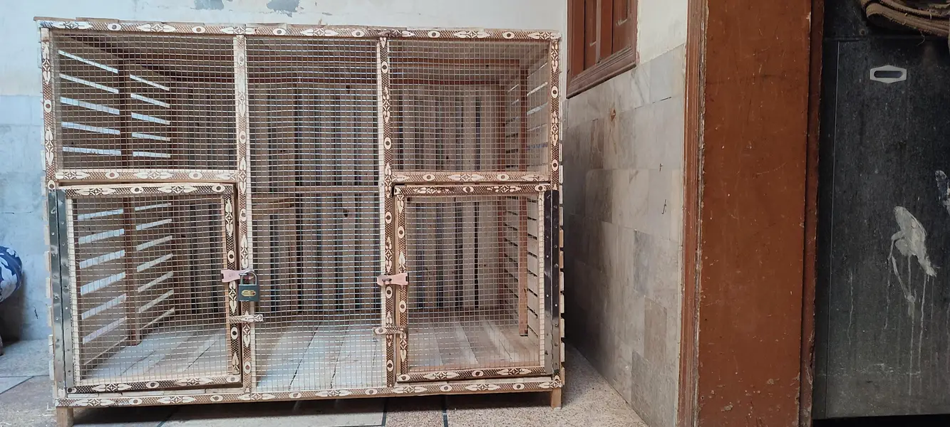 Brand New Wooden Cage for Sale — photo 2