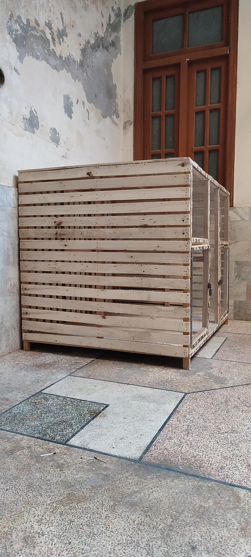 Brand New Wooden Cage for Sale — photo 4