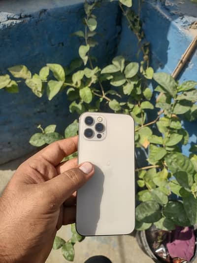 iPhone 12 Pro Dual physical