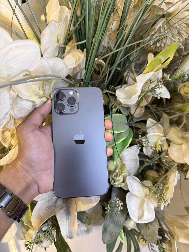 Apple iPhone 13 Pro Max 0
