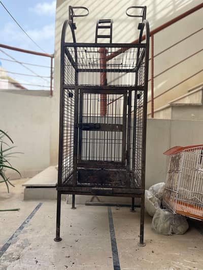 CAGES, Breeding boxes, and raw defected pathay available.