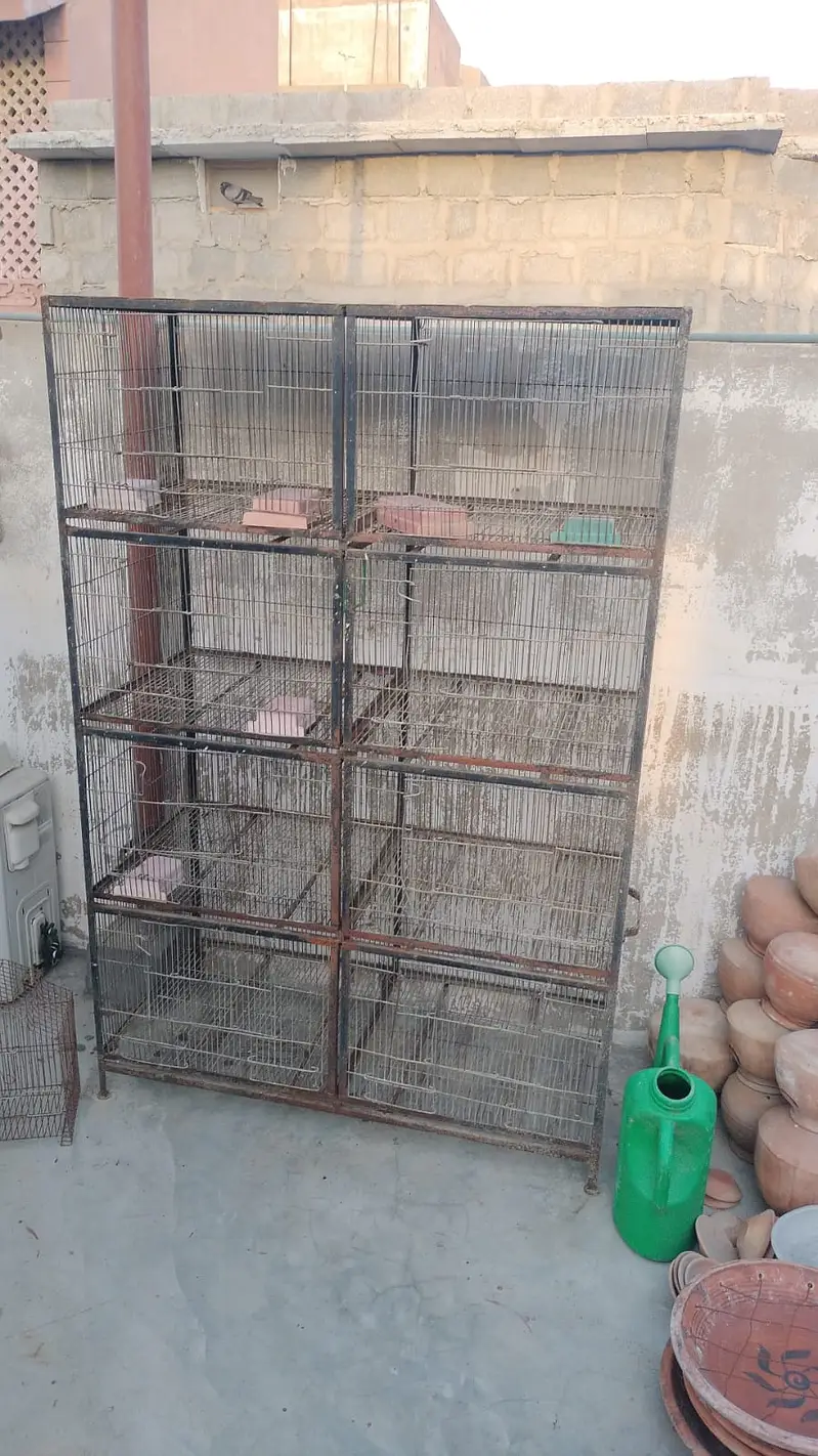 Large Portion Iron Bird Cage for Sale — photo 2
