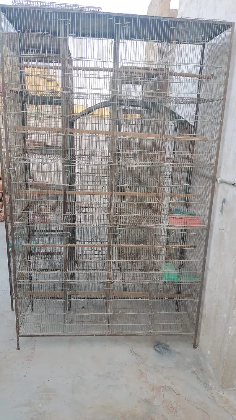 Large Portion Iron Bird Cage for Sale — photo 3