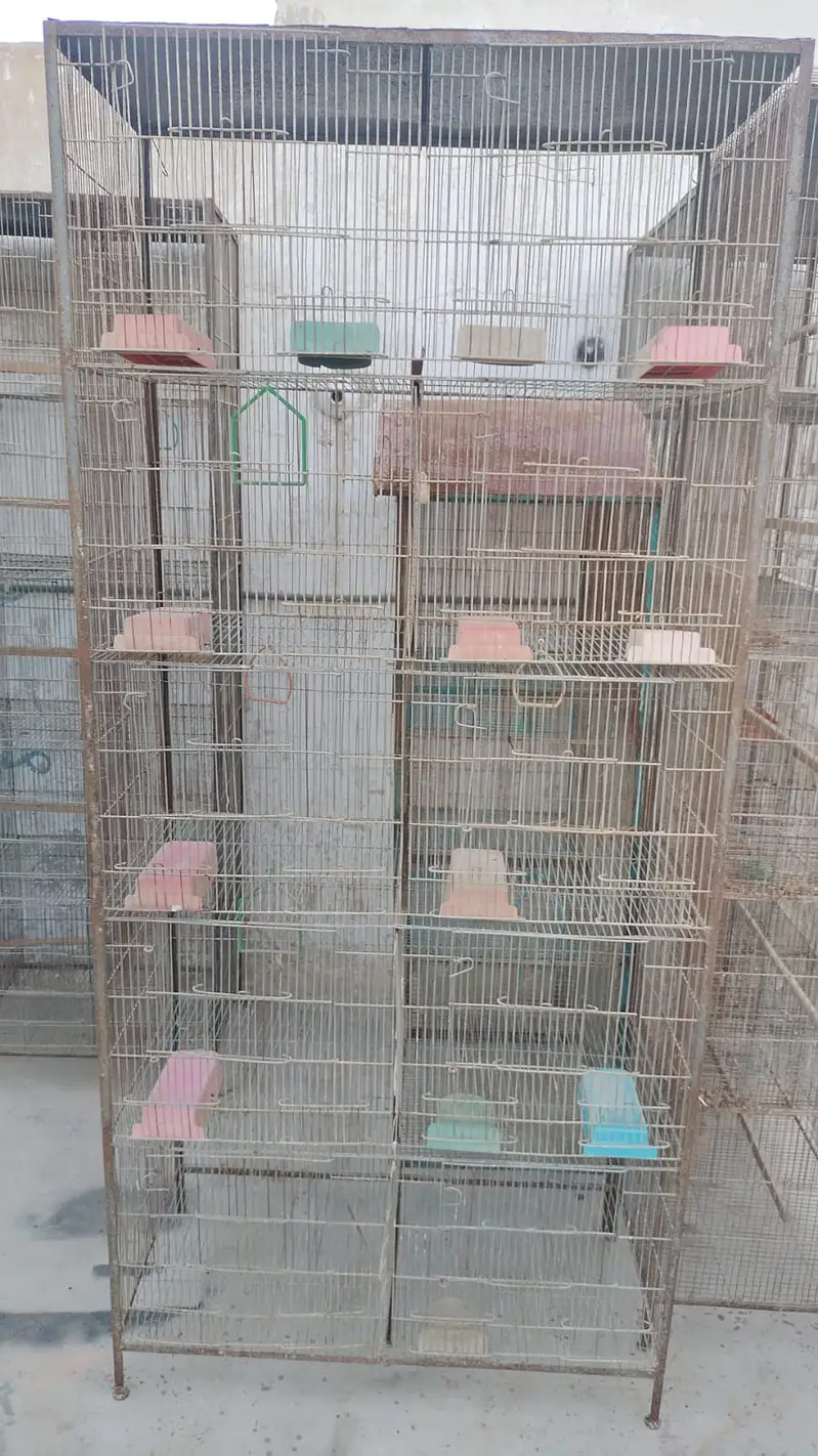 Large Portion Iron Bird Cage for Sale — photo 6