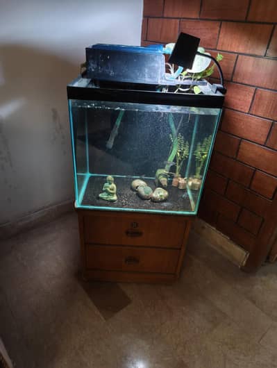 Custom made fish tank 18x18inches