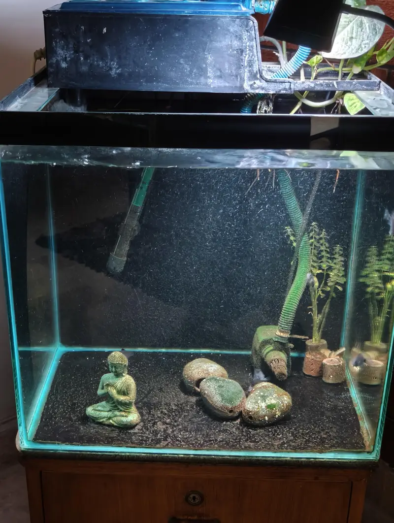 Custom made fish tank 18x18inches — photo 2
