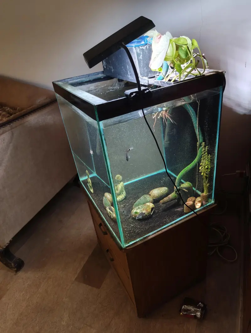 Custom made fish tank 18x18inches — photo 3