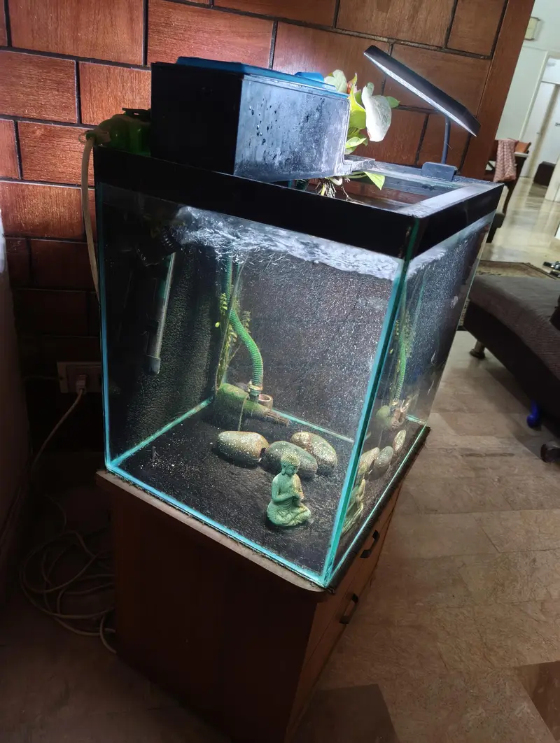 Custom made fish tank 18x18inches — photo 4