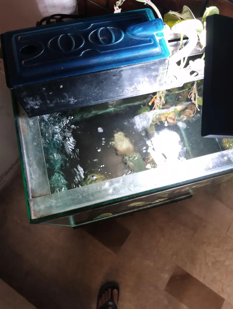 Custom made fish tank 18x18inches — photo 5