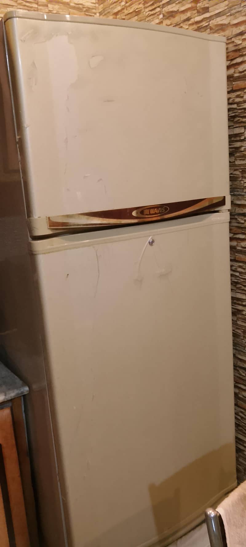 waves fridge 1