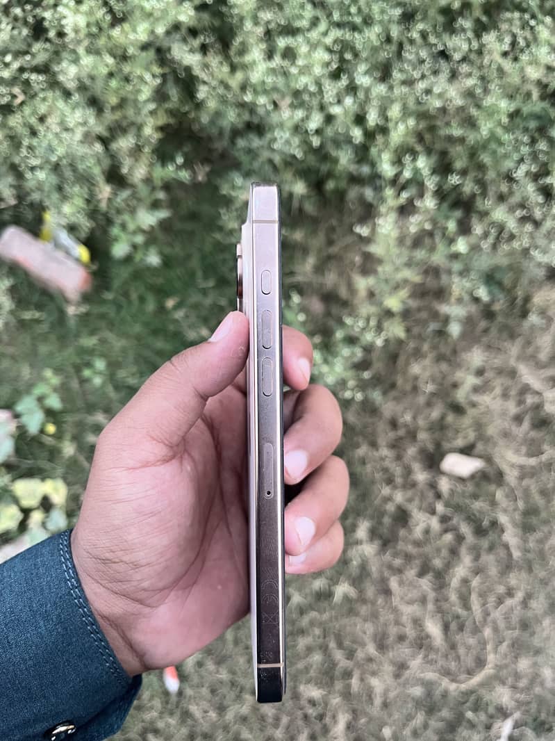 Apple iPhone 16 Pro Max 1