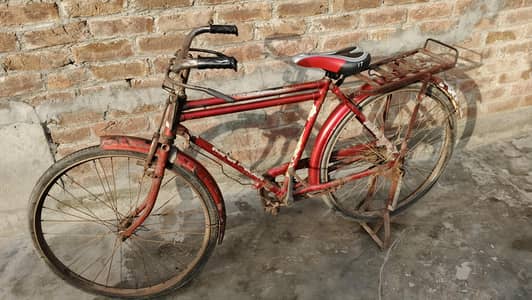 cycle for sale