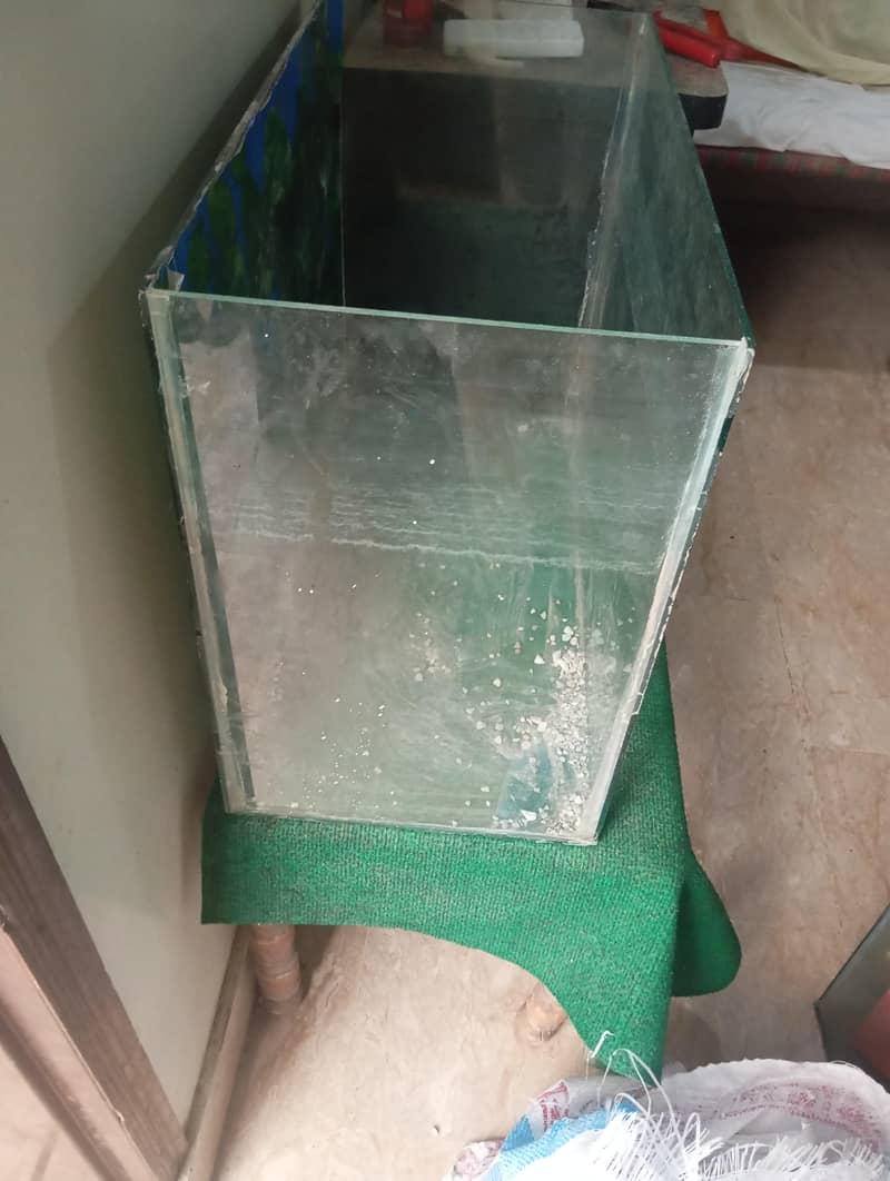 fish aquarium 0