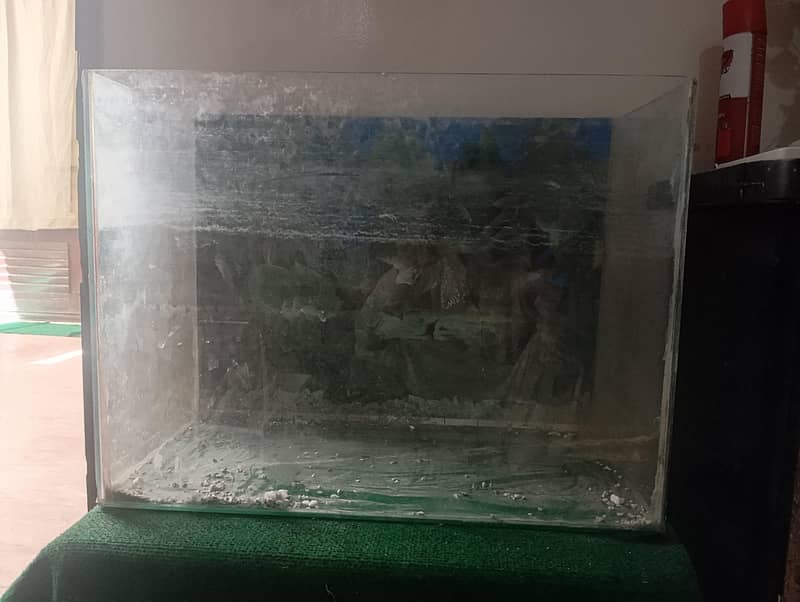 fish aquarium 2