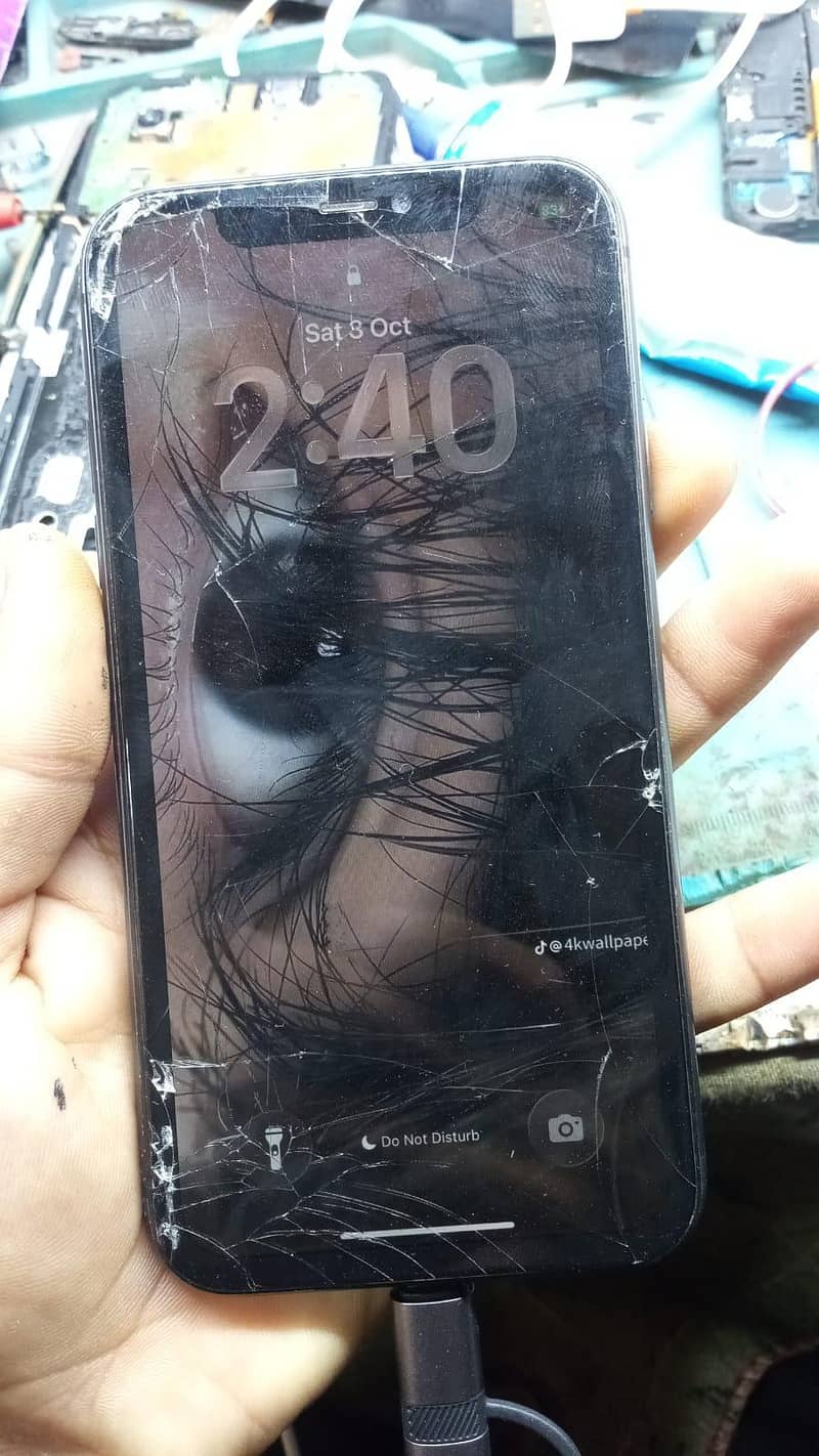 Apple iPhone 11 0