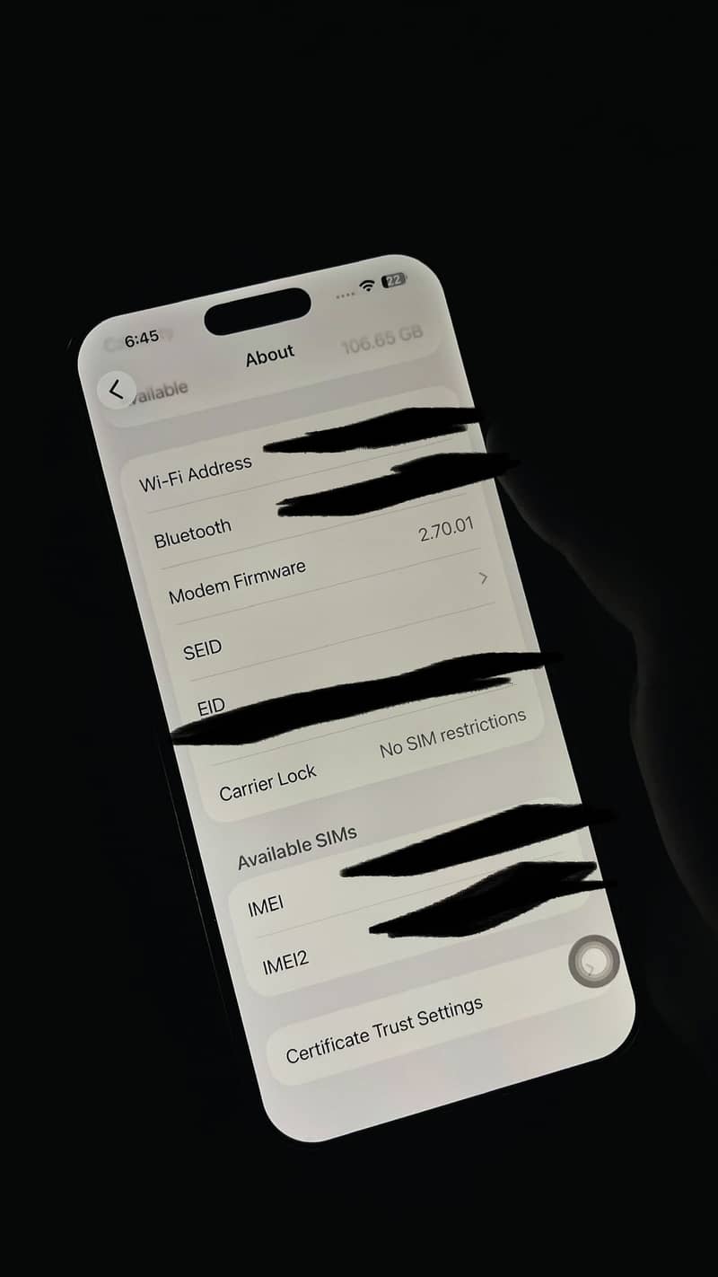 iPhone 16 pro Max 2