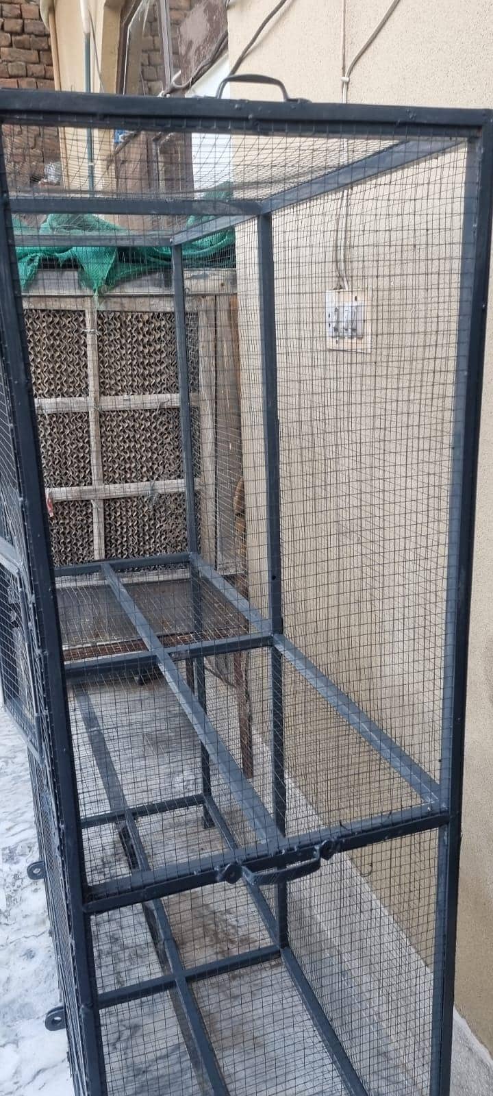parrots cage 0