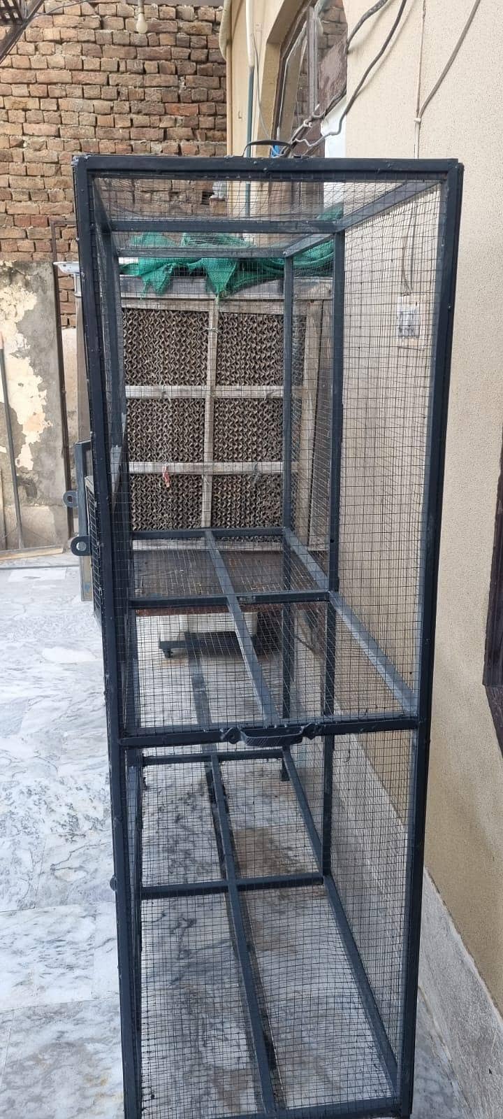 parrots cage 1